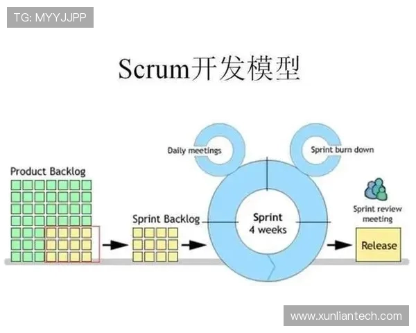 以Meiko辅助为核心解析团队协作与竞技策略全面提升路径