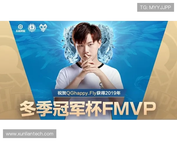 以Fly王者生涯为中心解读其巅峰荣耀与团队精神力量